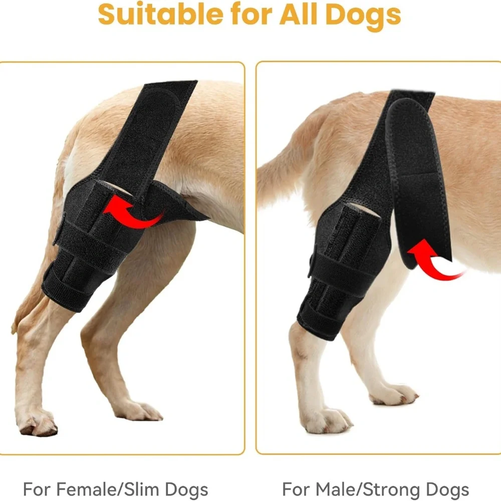 Dog Knee Brace - NWT